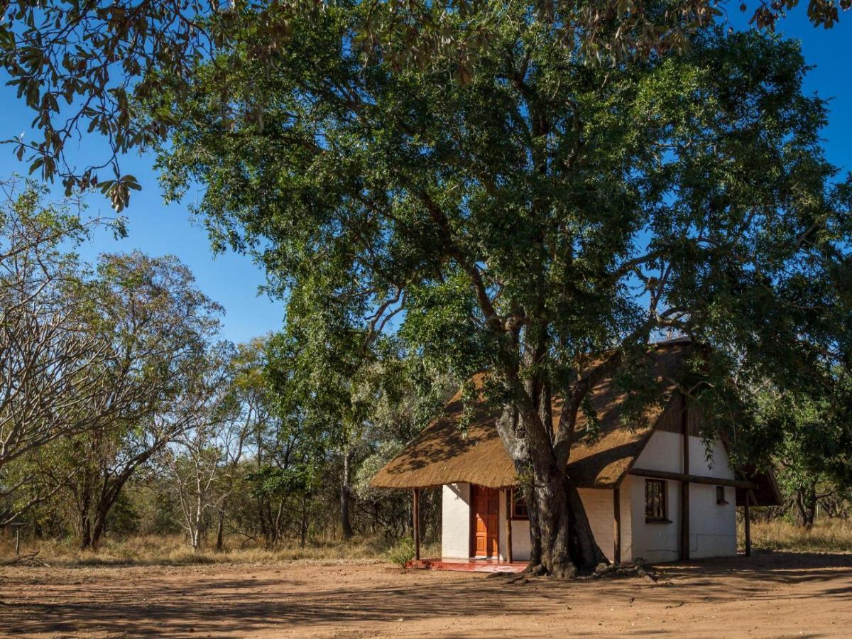 Wild Ride Safaris And Bush Camp Villa Hoedspruit Exterior foto