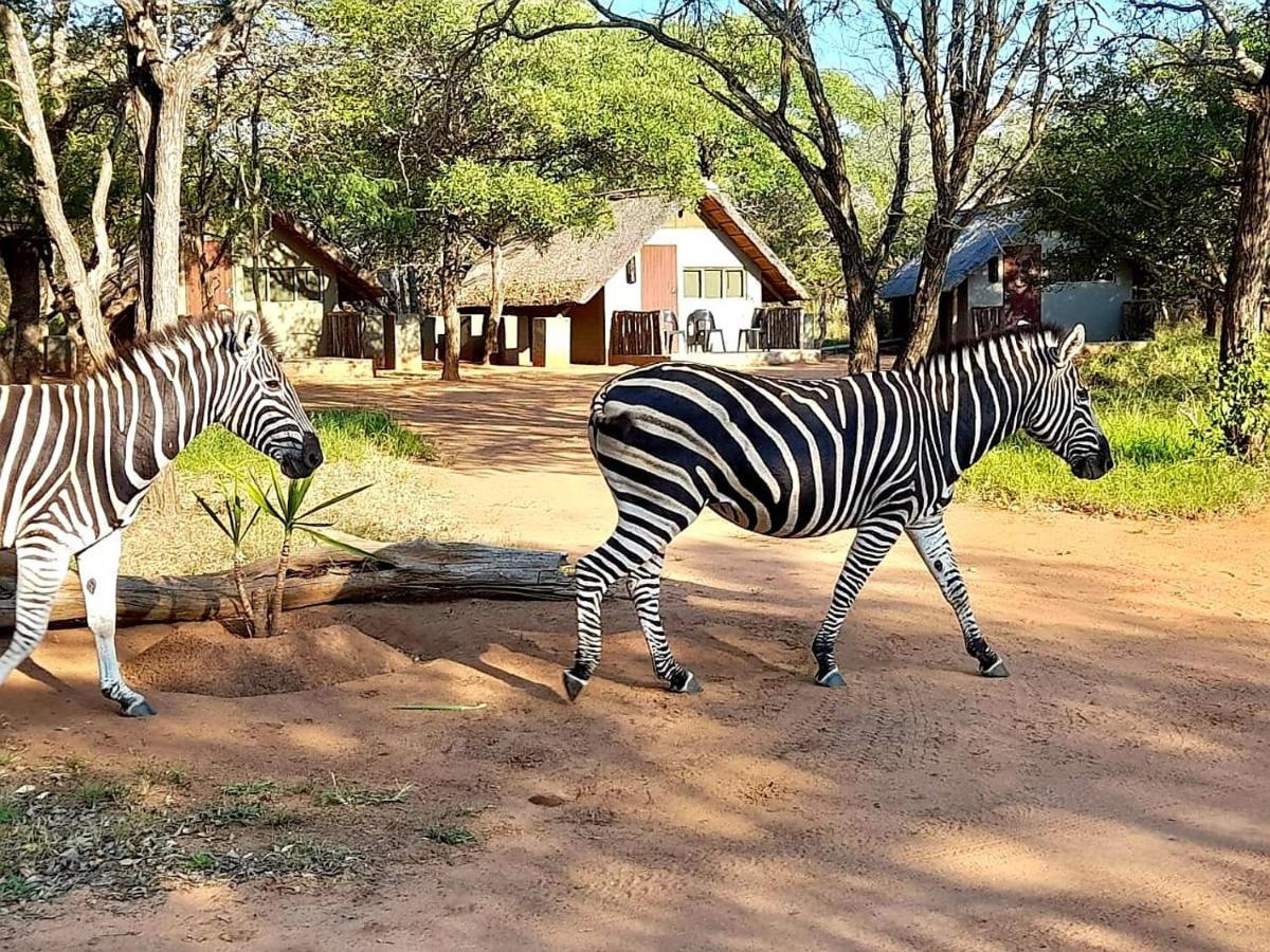 Wild Ride Safaris And Bush Camp Villa Hoedspruit Exterior foto